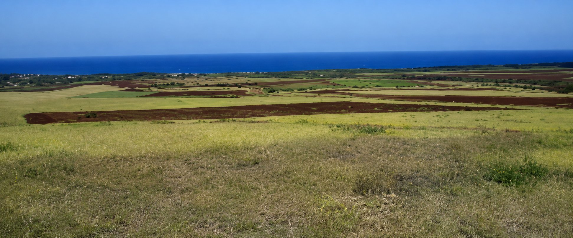 AgTech Pacific project land in Waialua, Oahu